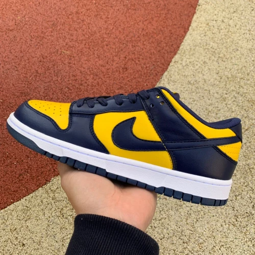 Nike Dunk Low "Michigan" DD1391-700