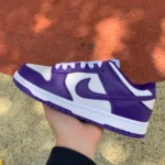 Nike Dunk Retro "Court Purple" White Purple DD1391-104