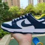 Nike Dunk Low Retro "Valerian Blue" White Navy DD1391-400