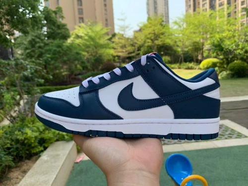 Nike Dunk Low Retro "Valerian Blue" White Navy DD1391-400