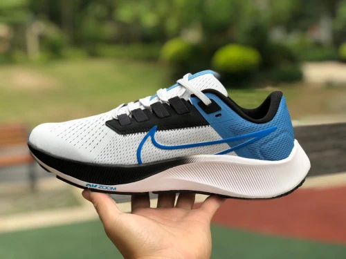 Nike Air Zoom Pegasus 38 Blue White CW7356-009