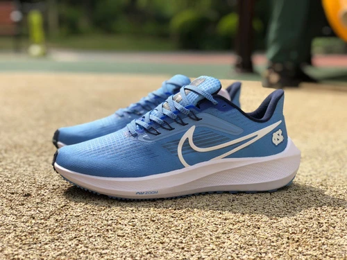 Nike Air Zoom Pegasus 39 Blue White DR1967-400