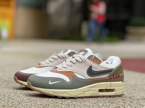 Nike Air Max 1 Premium "Wabi Sabi" Green Brown DQ8656-13