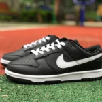 Nike Dunk Low Retro Black DJ6188-002