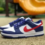 Nike Dunk Low White Blue Red DD1503-119