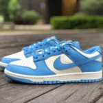 Nike Dunk Low "North Carolina" White Blue DD1503-100