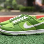 Nike Dunk Low Retro Green DJ6188-300