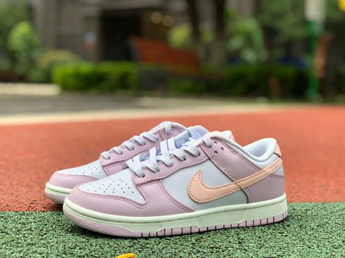 Nike Dunk Low Blue Purple Pink DD1503-001