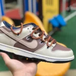 Nike Dunk Low Beige Brown DH9765-300