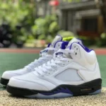 Air Jordan 5 "Concord" DD0587-141