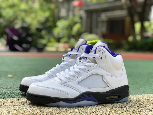 Air Jordan 5 "Concord" DD0587-141