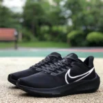 Nike Air Zoom Pegasus 39 Black DH4071-200