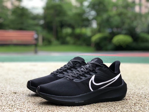 Nike Air Zoom Pegasus 39 Black DH4071-200