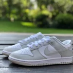 Nike Dunk Low White Grey DD1503-103