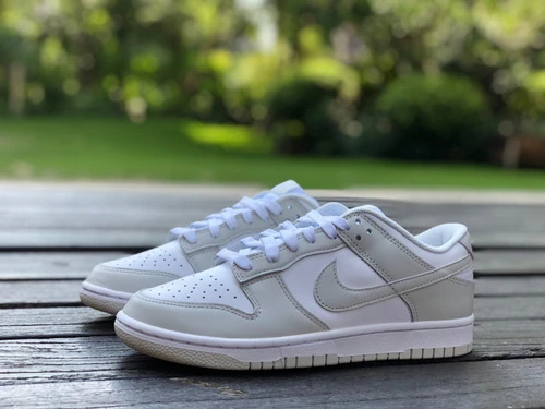 Nike Dunk Low White Grey DD1503-103