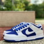 Nike Dunk Low Retro Blue White DD1391-401