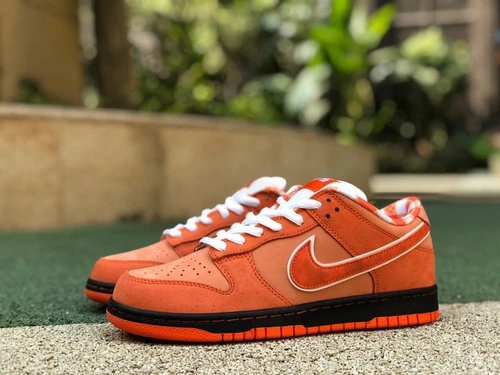 Nike Dunk SB "Orange Lobster" FD8776-800