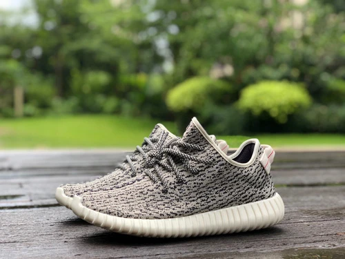 Adidas Yeezy 350 Boost Grey AQ4832