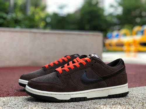 Nike Dunk Low Retro Brown Orange D08801-200