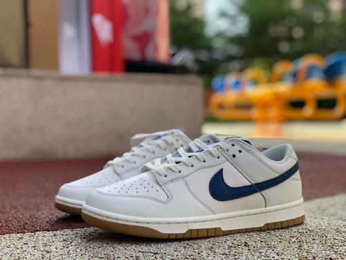 Nike Dunk Low White Blue Gum DX3198-133