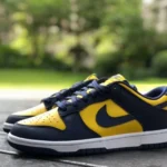 Nike Dunk Low "Michigan" DD1391-700