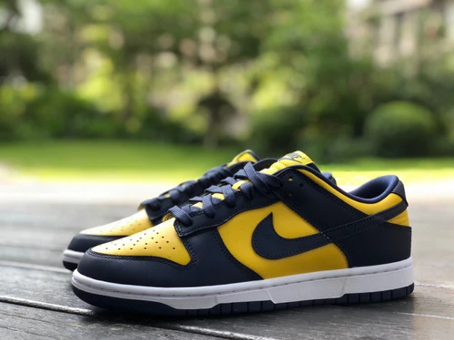 Nike Dunk Low "Michigan" DD1391-700