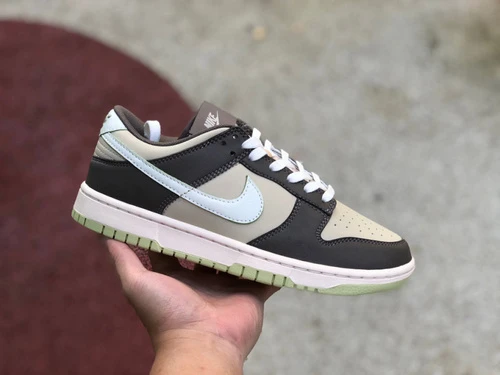 Nike Dunk Low Retro Brown Beige Green FB4960-210