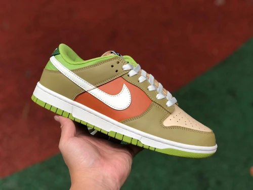 Nike Dunk Low GS Brown Green Red DV9108-711