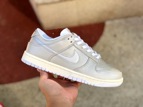 Nike Dunk Low White Silver DX3197-095