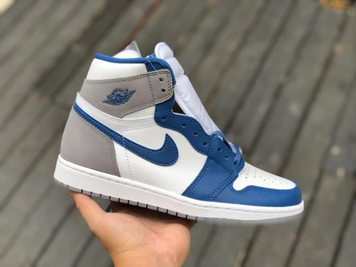 Air Jordan 1 Retro High Blue Grey High-Top Sneaker FD1437-410