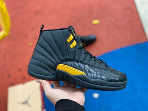 Air Jordan 12 Retro "Black Taxi" Black Gold Sneakers CT8013-071