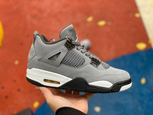 Air Jordan 4 Retro "Cool Grey" Gray 308497-007