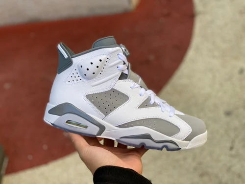 Air Jordan 6 "Cool Grey" CT8529-100