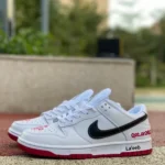 Nike SB Dunk Low "Qatar World Cup" DJ6188-006