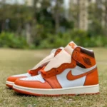 Air Jordan 1 High Starfish High-Top Sneaker DO9369-101