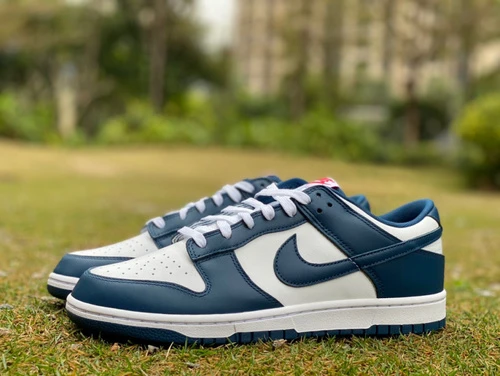 Nike Dunk Low Retro White Navy DD1391-400