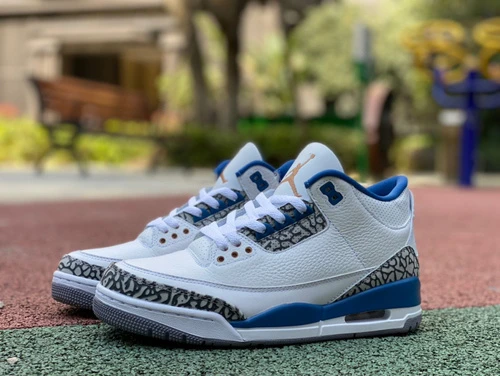 Air Jordan 3 Wizards Sneaker CT8532-148