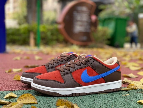 Nike Dunk Low Brown Blue DR9704-200