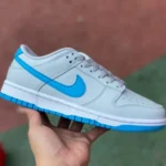 Nike Dunk Low Retro Grey Blue DV0831-001