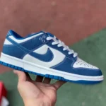 Nike Dunk Low Retro SE Blue DV0834-101