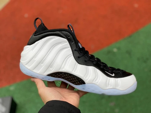 Nike Foamposite One Black White DV0815-100