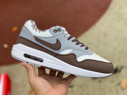 Nike Air Max 1 "Shima Shima" Brown Grey FB8916-100