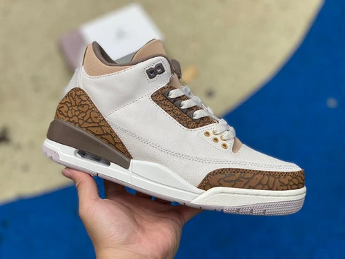 Air Jordan 3 "Palomino" Grey Brown Premium Leather CT8532-102