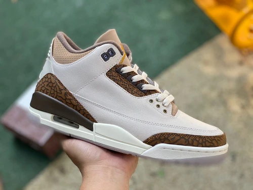 Air Jordan 3 "Palomino" Grey Brown CT8532-102