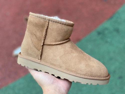 UGG Tasman Brown High-Top