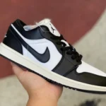 Air Jordan 1 Low WMNS Vintage Panda FB9893-101