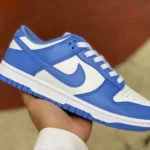 Nike Dunk Low "Arctic Blue" White Blue DV0833-400