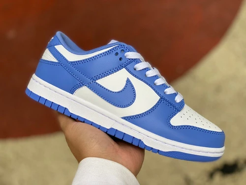 Nike Dunk Low "Arctic Blue" White Blue DV0833-400