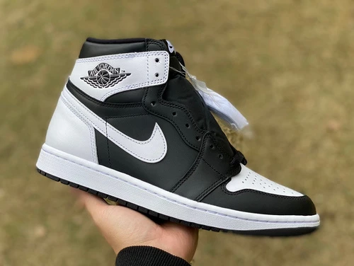 Air Jordan 1 High Reverse Panda DZ5485-010