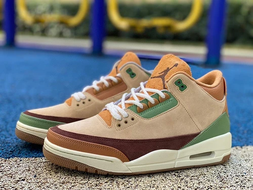 Air Jordan 3 "Green Brown" CT8532-160